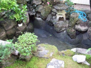 内庭の池 1